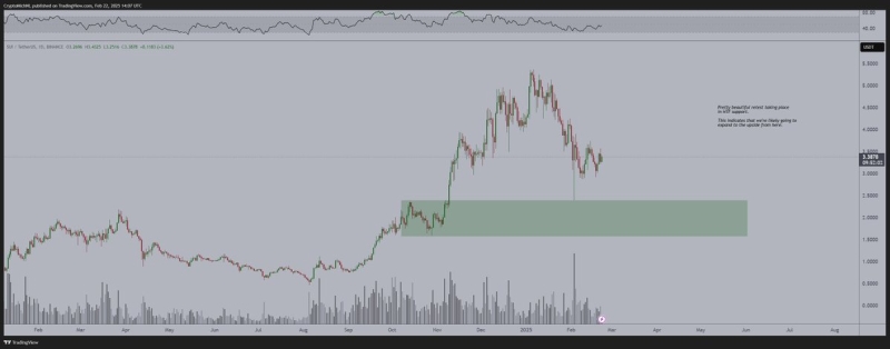 Analyst Michaël van de Poppe Says Real Run Coming for Layer-1 Altcoin, Updates Outlook on XRP, SUI and Sonic