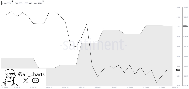 Analyst Says Crypto Whales Loading Up on Ethereum, Accumulating $815,514,345 in ETH in Just Five Days