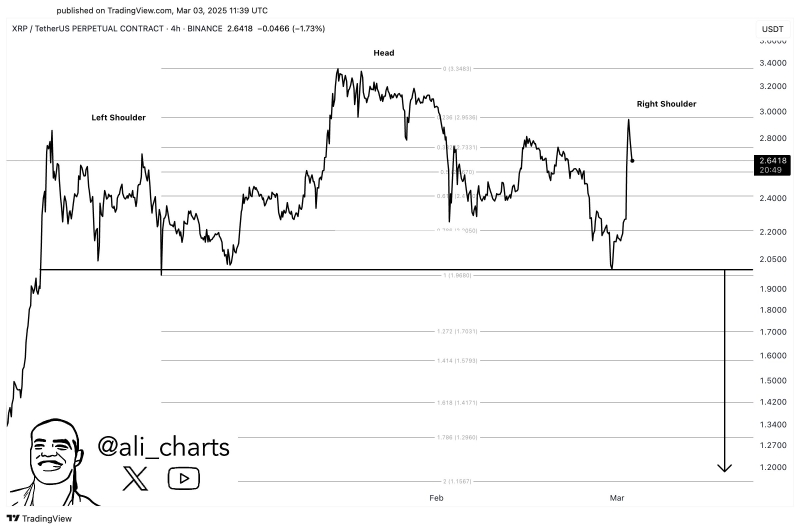 Crypto Whales Gobble Up $2,510,550,217 in XRP and Cardano (ADA) in Just a Day, According to Analyst