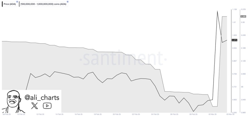 Crypto Whales Gobble Up $2,510,550,217 in XRP and Cardano (ADA) in Just a Day, According to Analyst