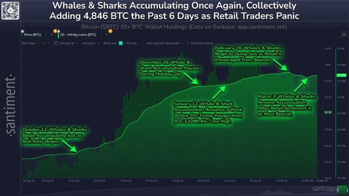 Whales and Sharks Snap Up $381,293,478 Worth of Bitcoin in Six Days Amid Trader Panic, According to Santiment