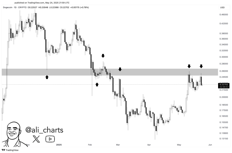 Analyst Says Dogecoin Facing ‘Most Important’ Resistance Wall, Updates Outlook on Solana, Stellar and Toncoin