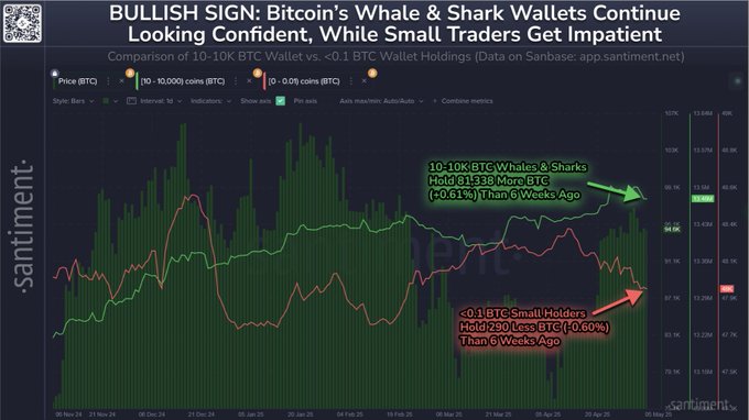 Bitcoin Whales and Sharks Gobble Up $7,890,599,380 in BTC in Just Six Weeks, Says Analytics Platform – Here’s What It Means