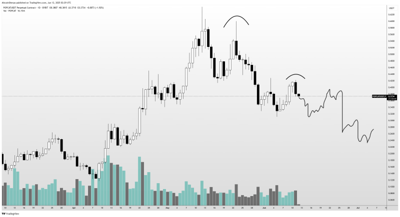 Trader Says One Layer-1 Altcoin ‘Destined’ for New All-Time High, Warns of Potential 50% Correction for WIF and POPCAT