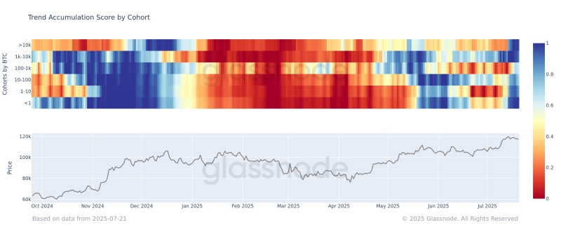 Accumulation of Major Bitcoin Investors and Whales Powering BTC Uptrend As Ethereum Witnesses Trend Reversal in Buyer Behavior: Glassnode