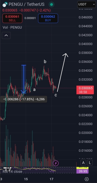 Analyst Says Solana-Based Altcoin That’s Exploded 300% in a Month Primed To Go Higher, Updates Outlook on FLOKI and BONK
