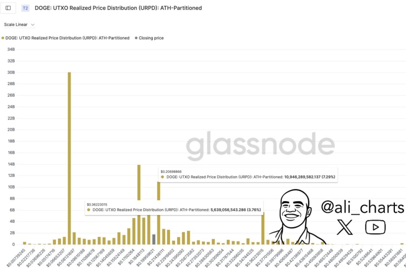 Trader Says Dogecoin Forming Bullish Pattern That Could Lead to 76% Rally, Maps Path Forward for Bitcoin