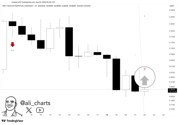Crypto Trader Says Leading Ethereum Rival Primed for a 2x Rally, Updates Outlook on Bitcoin, XRP and SEI