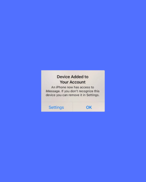Scammers Wipe Out Bank Account of Disabled Woman After Receiving iPhone Notification: Report
