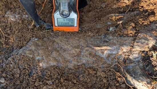 Standard Uranium Confirms Strong Radioactivity at Surface During Successful Exploration Program at the Rocas Uranium Project
