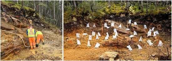 Anteros Expands Surface Base and Precious Metal Mineralization at the Havens Steady VMS Property, Newfoundland