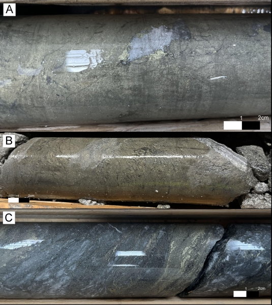 Emerita Intersects 9.6 Meters Grading 2.7% Copper, 1.85 g/t Gold and 6.9 Meters Grading 1.4% Copper, 1.85 g/t Gold at El Cura Deposit